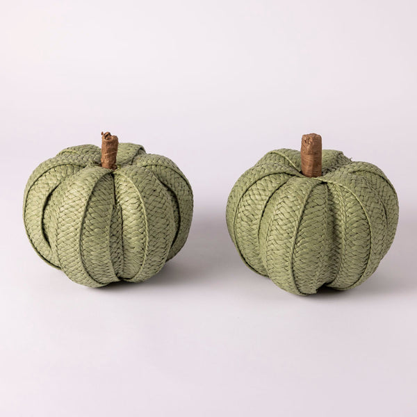 Sage green pumpkin